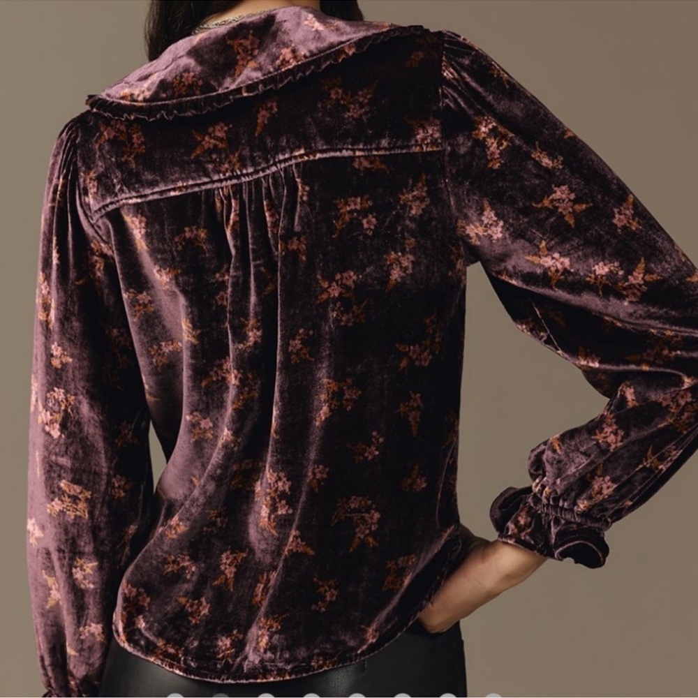 Anthropologie Purple Floral Velvet Pilcro Collared Button-Up Top Blouse - Picture 2 of 10